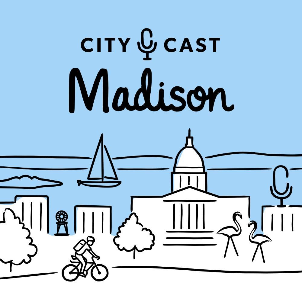 How We Know Wisconsin’s Maps Are Gerrymandered - City Cast Madison 