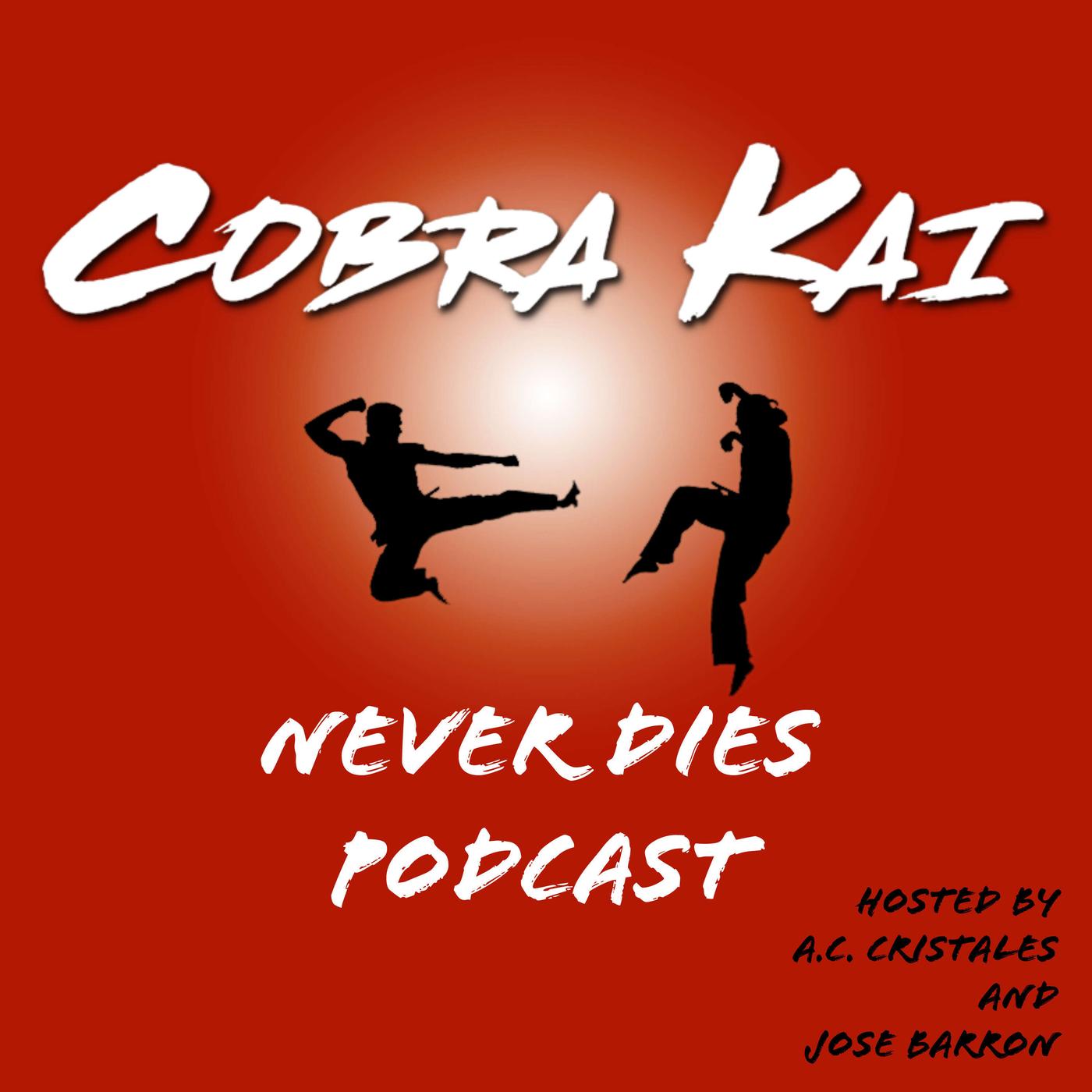Maglietta Donna Cobra Kai Never Dies – Ufficiale, Dark Heather, Merchandise Autentico