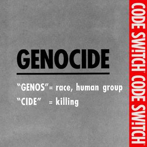The stakes of calling Israel's actions in Gaza a genocide