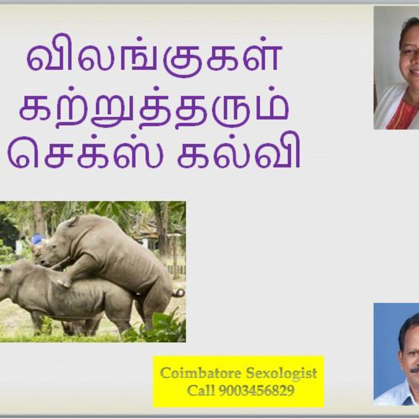 Animal sex and human fertility secrets, விலங்குகள் கற்று தரும் செக்ஸ்  கல்வி, இயற்க்கை கர்ப்பம், | Listen Notes