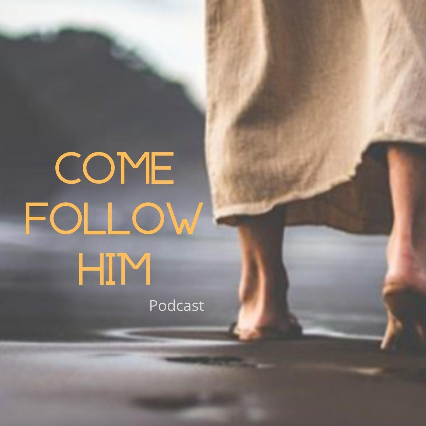 96 - Ike Stafford - Mosiah 29-Alma 4 - 6/2/2024 - Come, Follow Him ...