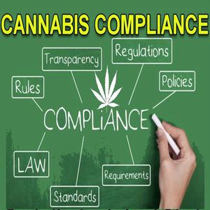 Conducting Cannabis Compliance Audits