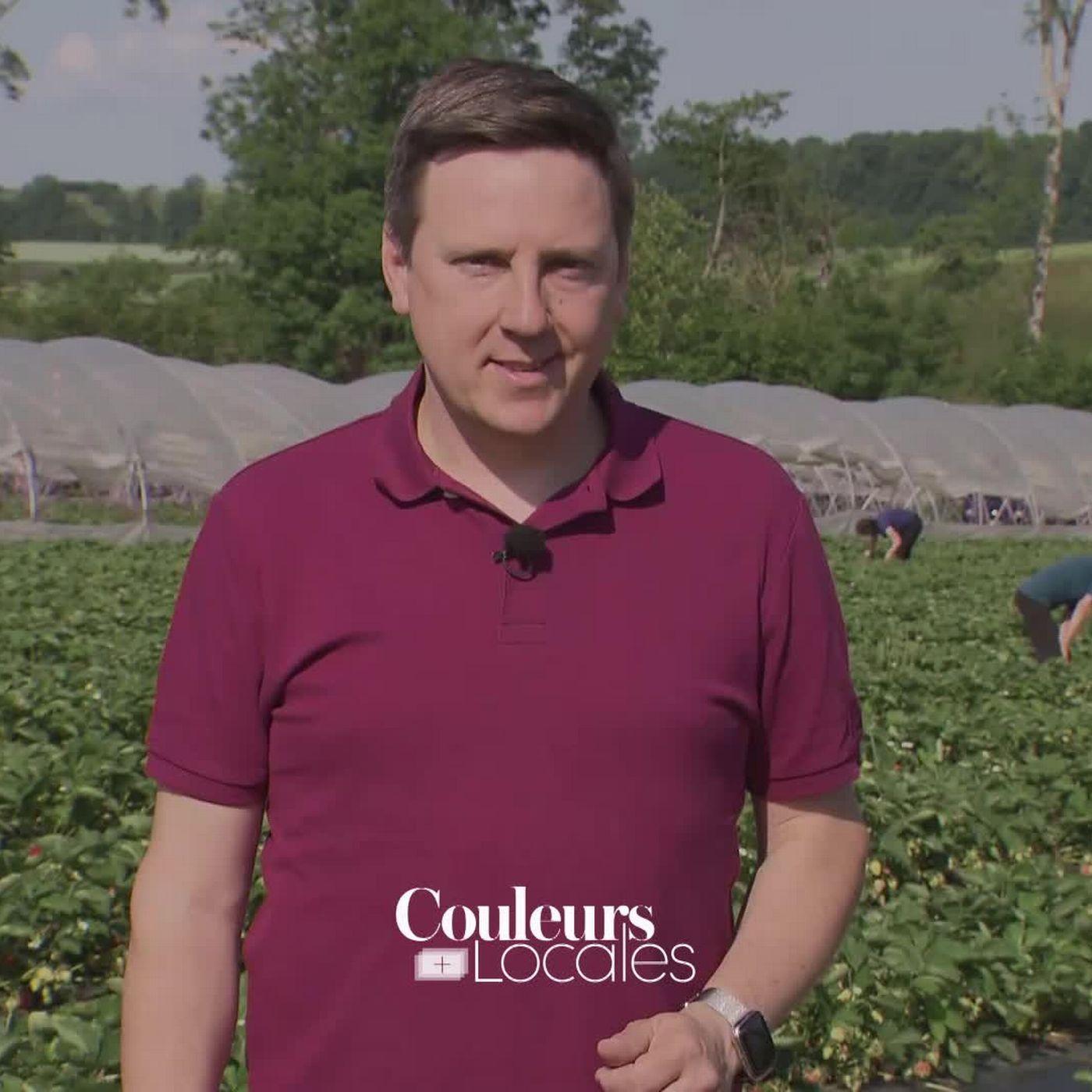 Couleurs locales Couleurs locales ‐ RTS (podcast) Listen Notes