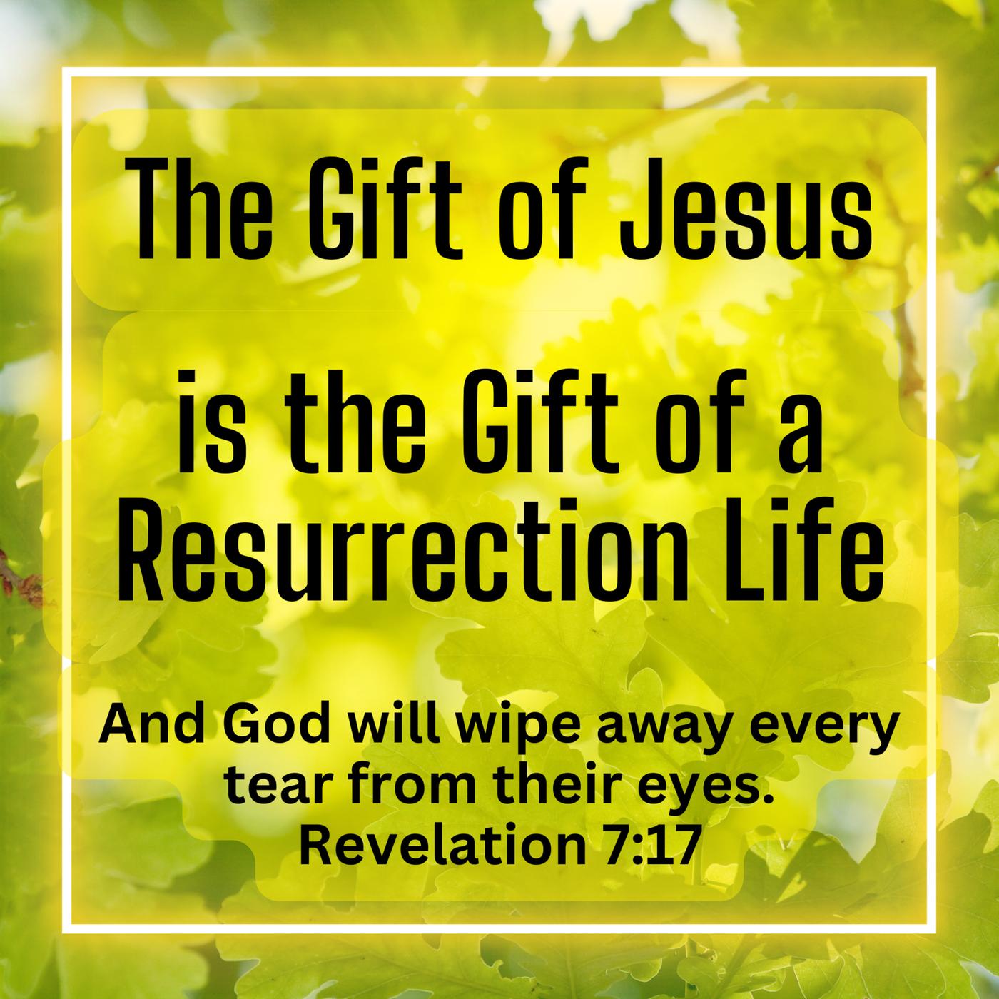 The Gift of Jesus is the Gift of Resurrection Life (New Beginnings UMC ...