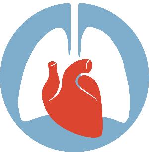The Role of Women in Cardiothoracic Surgery