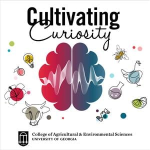Cultivating Curiosity
