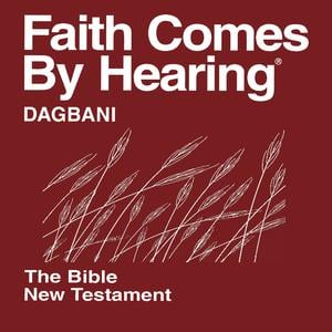 Dagbani Bible (Non-Dramatized)