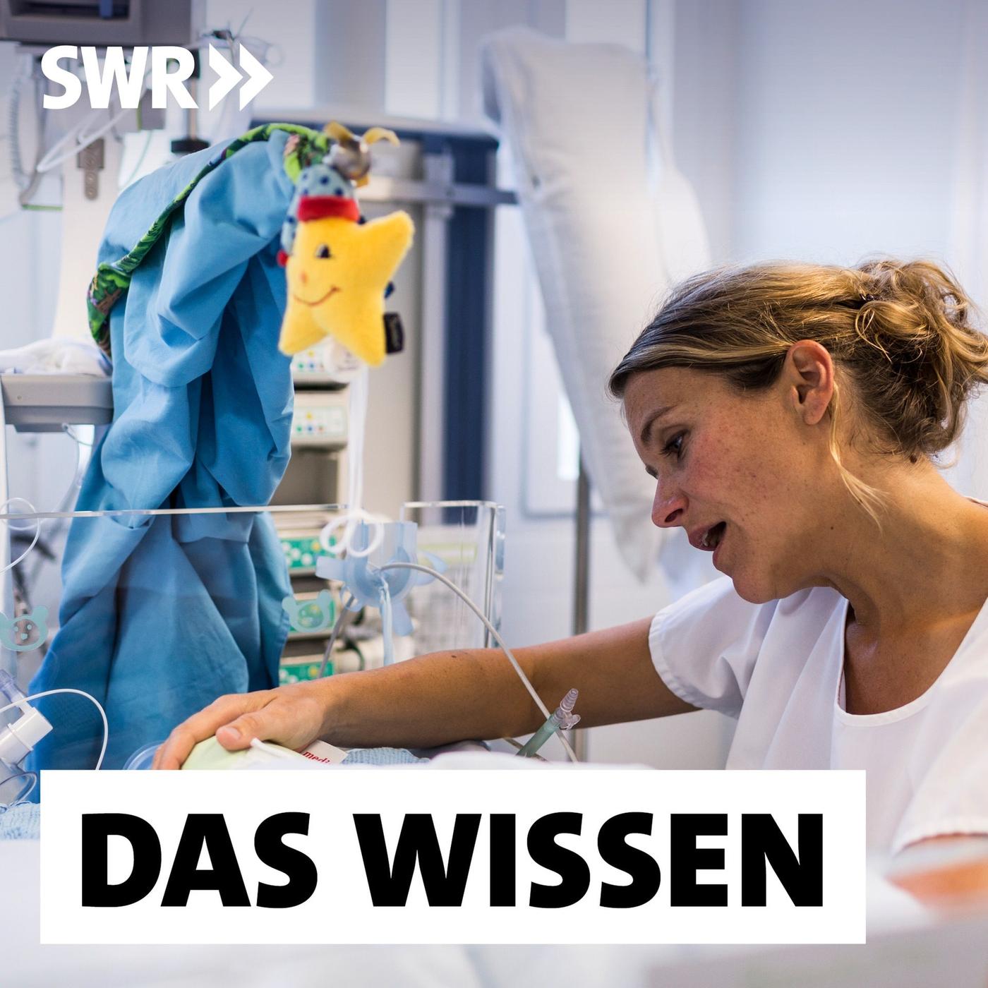 Das Wissen | SWR