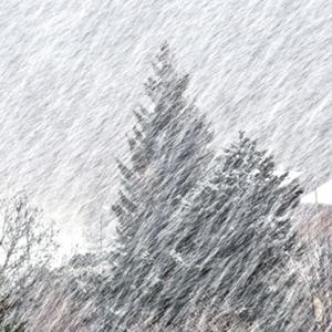 Snow Blizzard White Noise