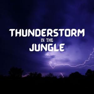 Thunderstorm in the Jungle