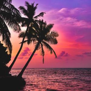 Tropical Dreams: Soundscape for Sleep & Relaxation