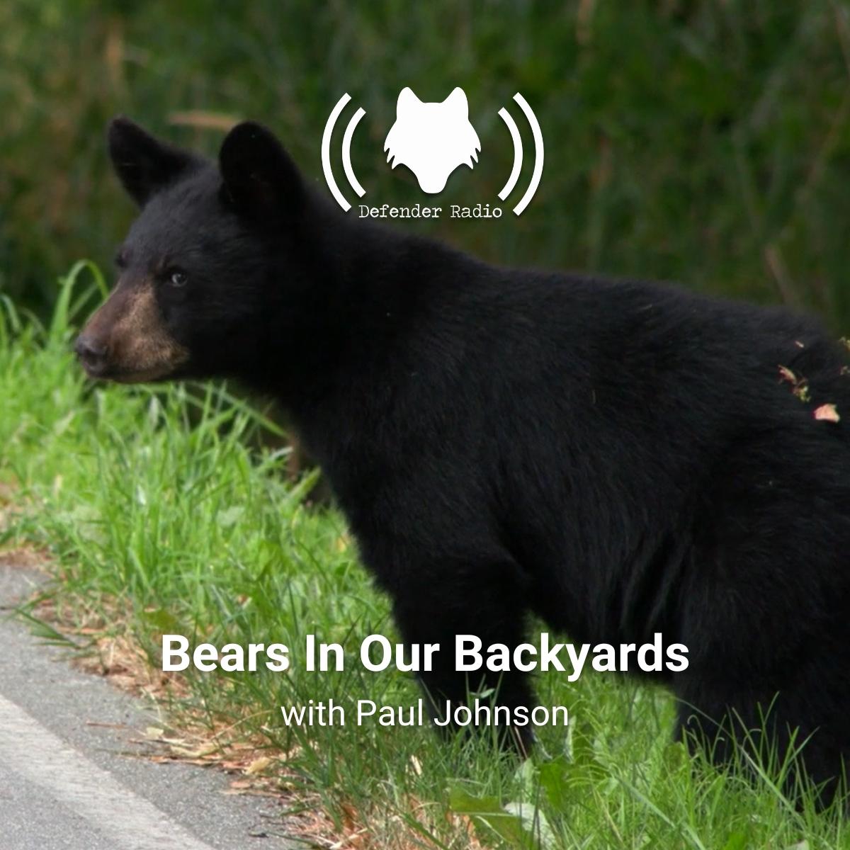 Bears in our Backyards with Paul Johnson - Defender Radio and The ...