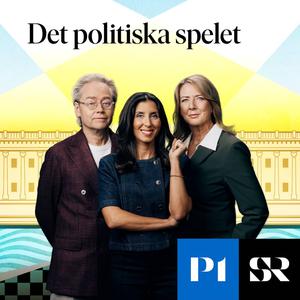 293: "SD har Sverigeanpassat sin svenskhet"
