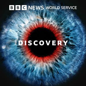 Mary Anning and Fossil Hunting