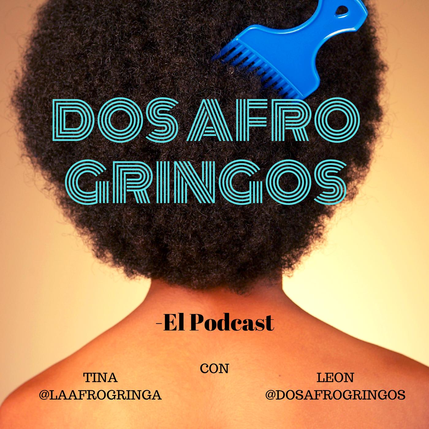 Dos Afro Gringos (podcast) - Tina 