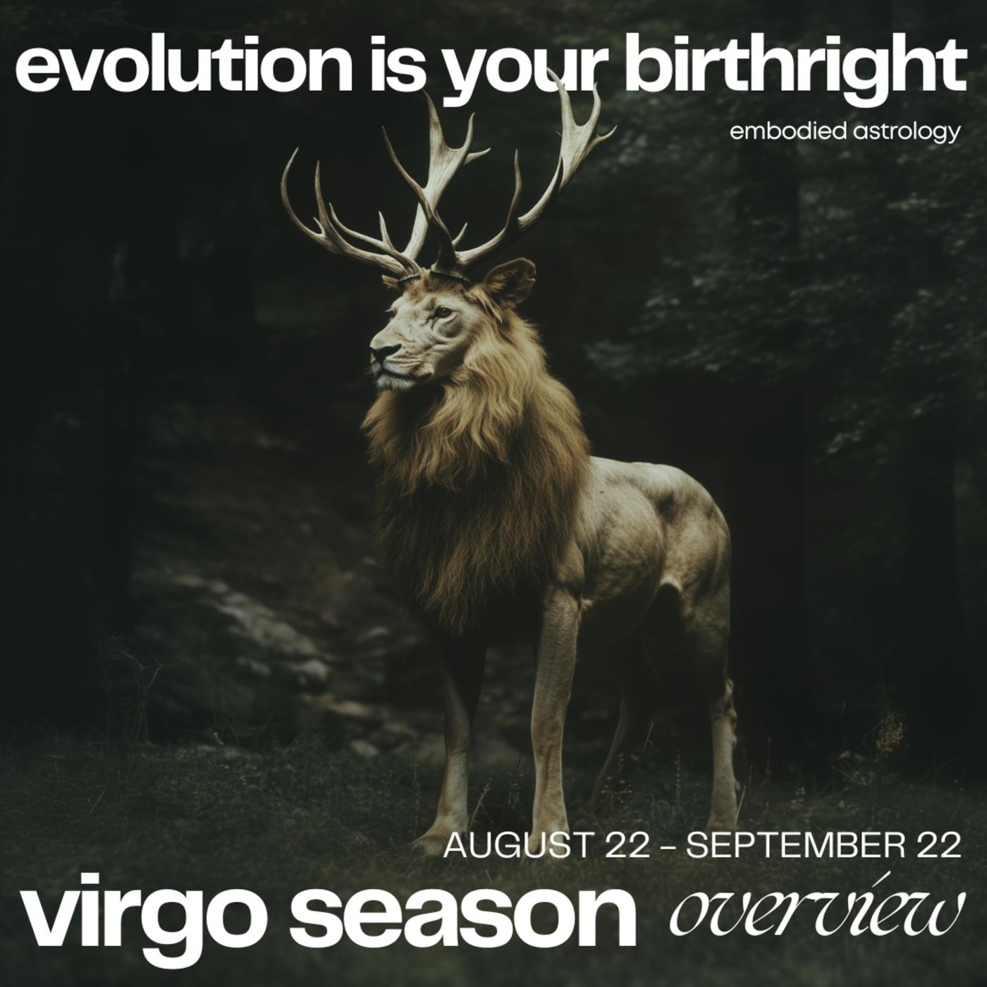 Evolution is Your Birthright Embodied Astrology for Virgo Season