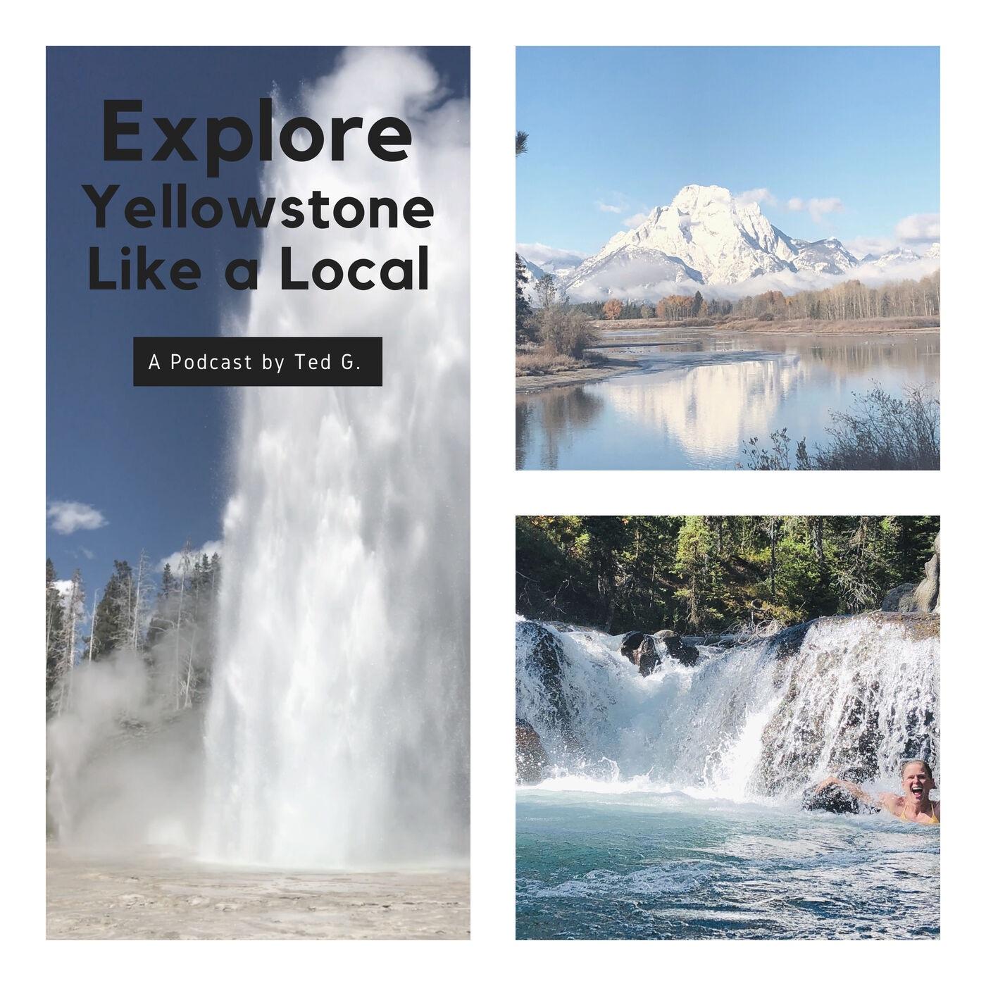 Explore Yellowstone Like a Local! Save TIME & MONEY on your Yellowstone Vacation. 