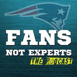 Fans Not Experts