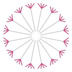 Episode 2: 5 lessons to co-produce impact when you have limited time