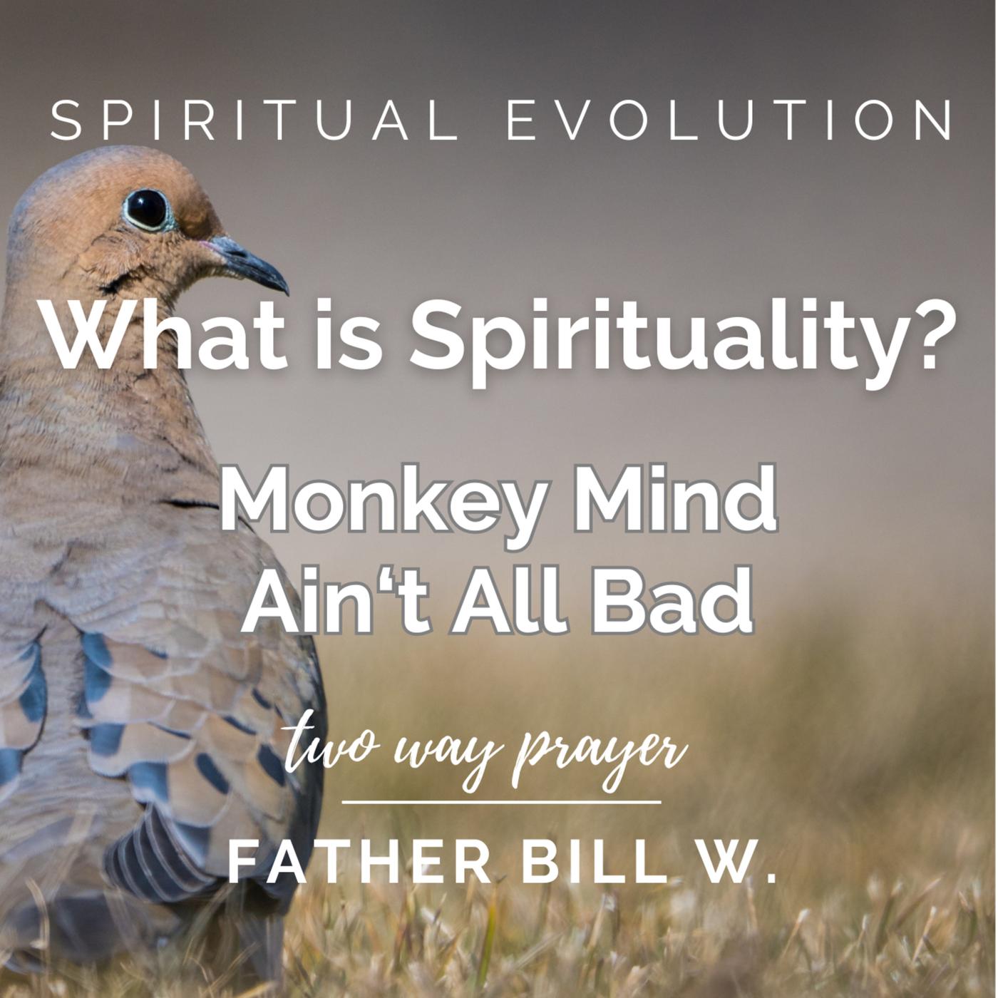 What Is Spirituality? Monkey Mind Ain't All Bad - Father Bill W 