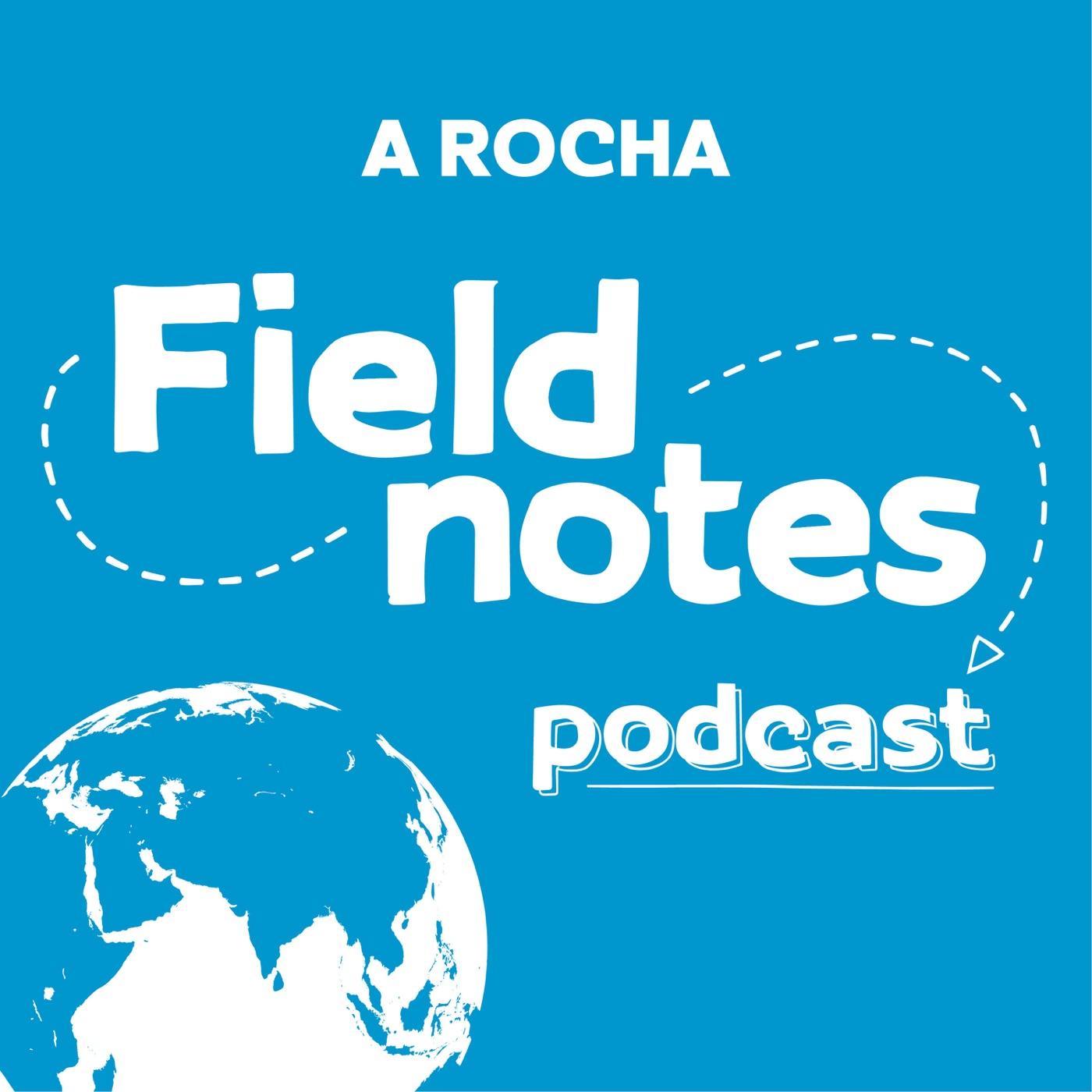 Field Notes