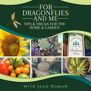 For Dragonflies And Me