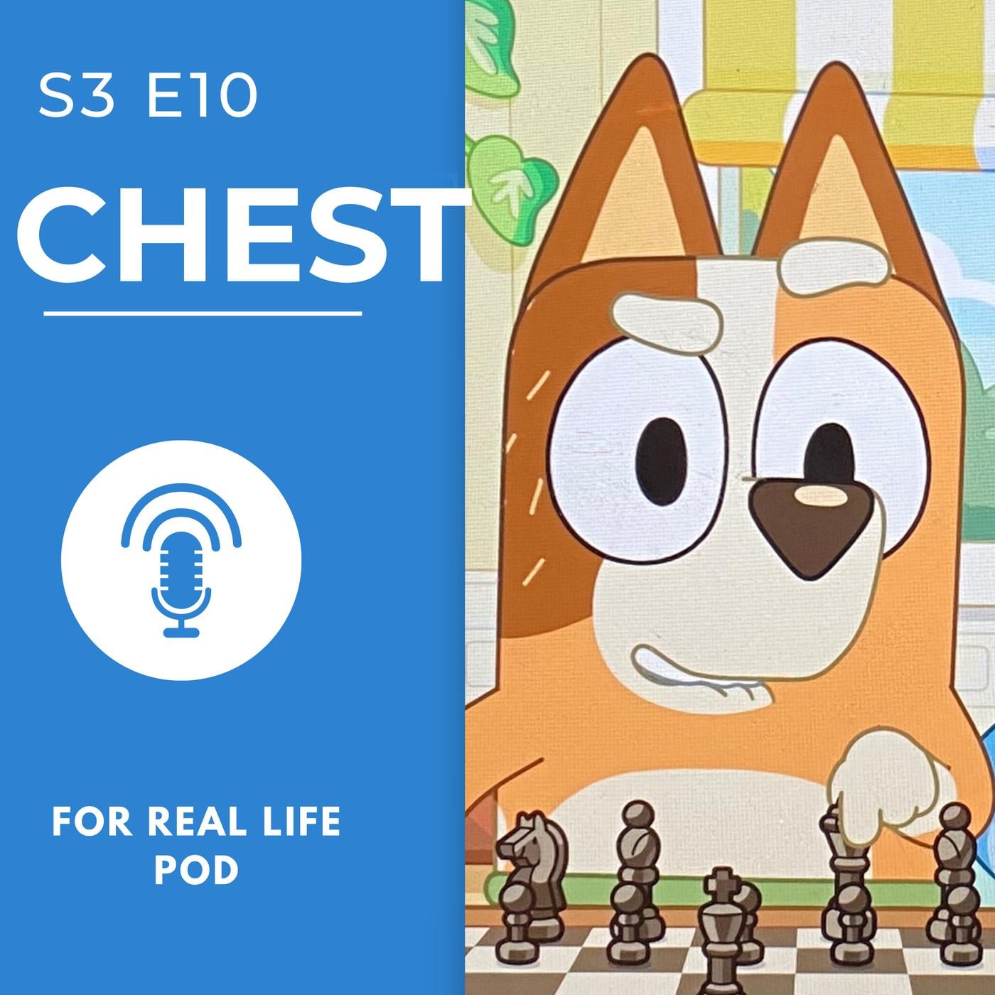 Chest - For Real Life Pod - Bluey Podcast | Listen Notes