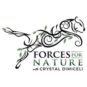 48. Show Swap! Becoming a Force for Nature with Julie Delucca-Collins & Crystal DiMiceli
