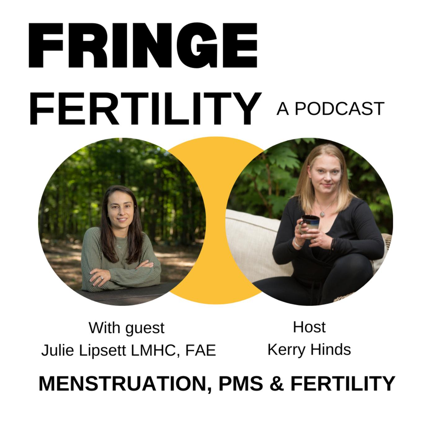 Fearlessly Fertile How mindset can impact your fertility with Rosanne
