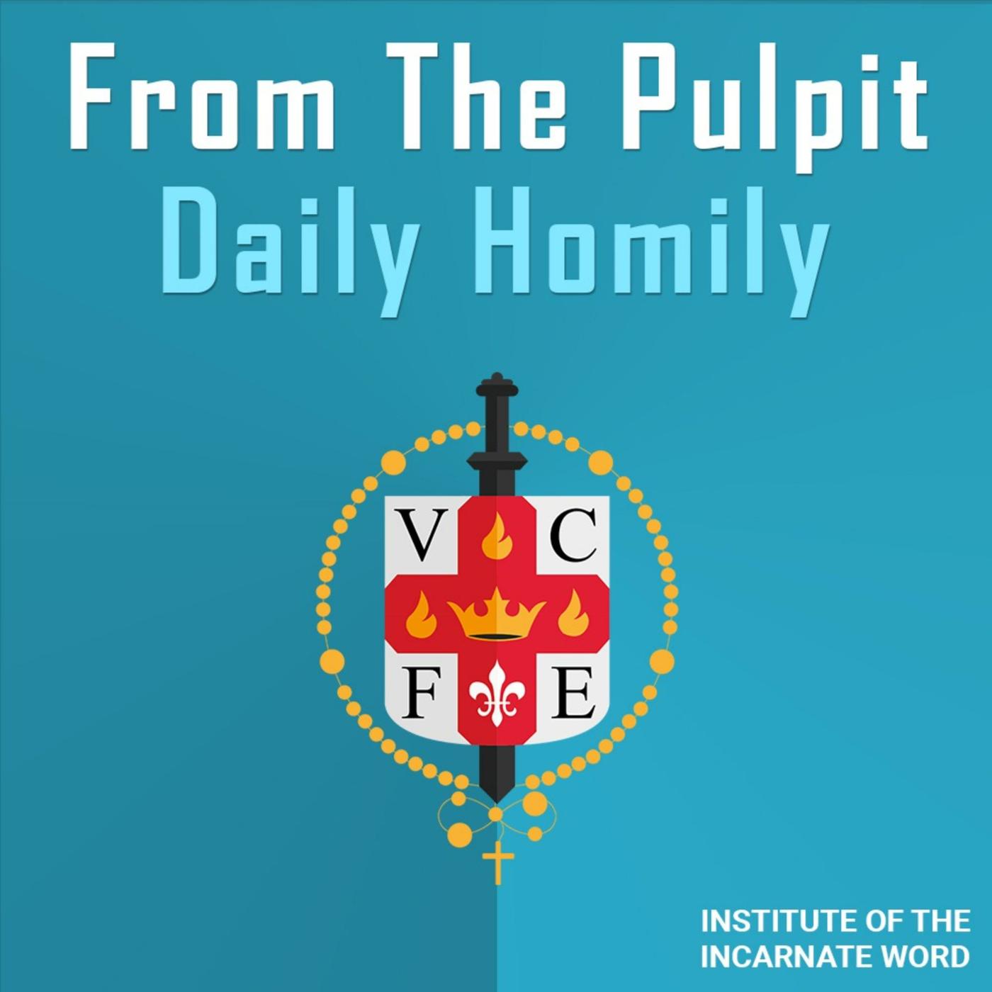 Daily IVE Homilies, April 23rd, 2026 - The Eucharist: Food for Eternity ...