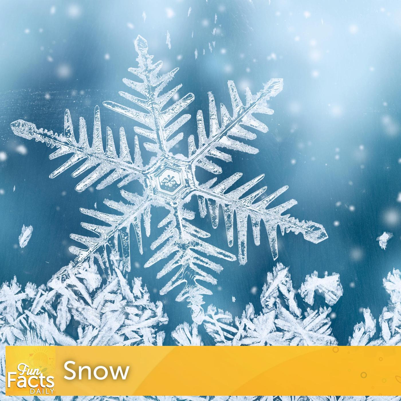 Fun Facts About Hot Cocoa - Fun Facts Daily (podcast) | Listen Notes