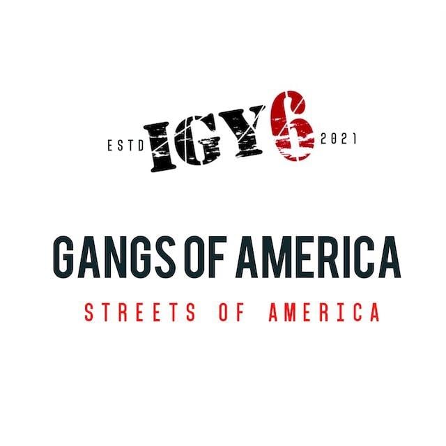top gangs in america