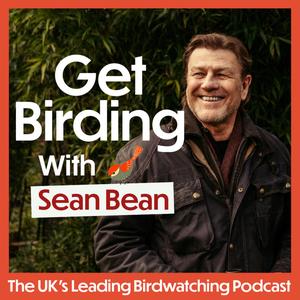 Get Birding