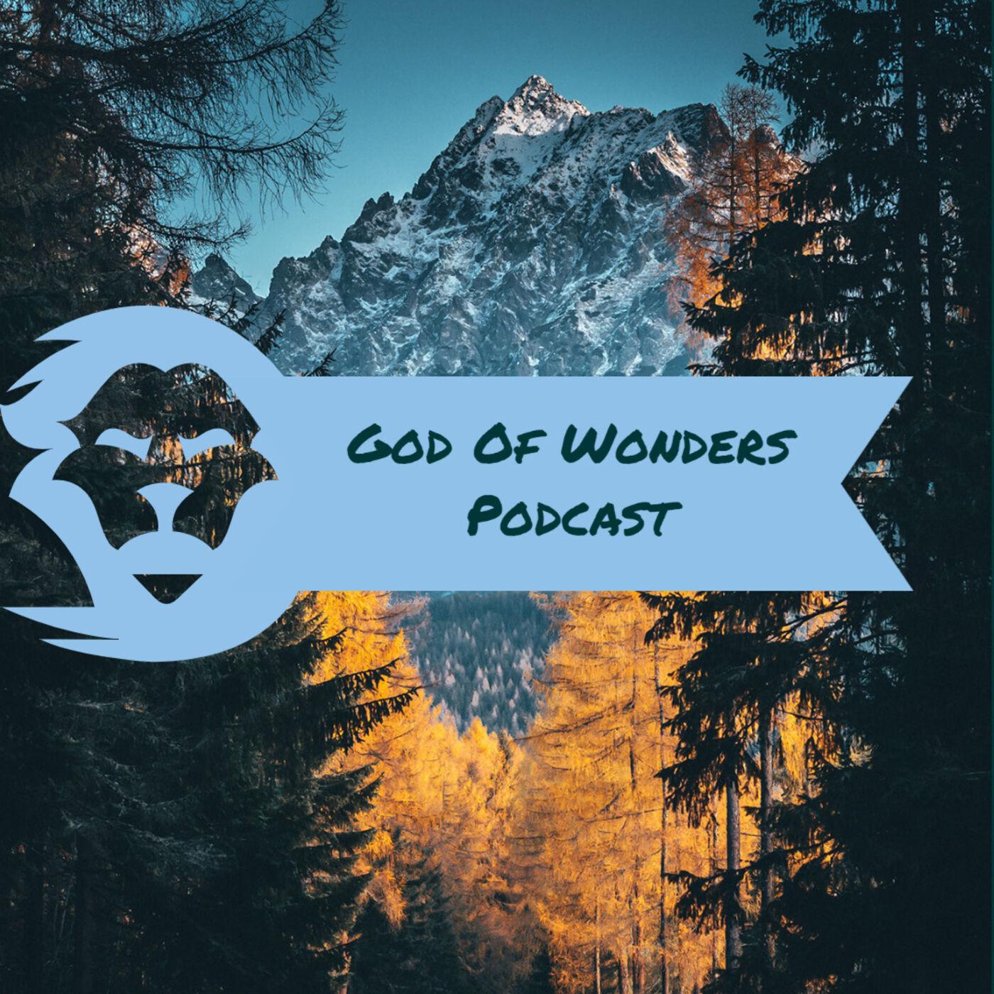 God Of Wonders Ep.7 (New Beginning's) - God Of Wonders Podcast | Listen ...