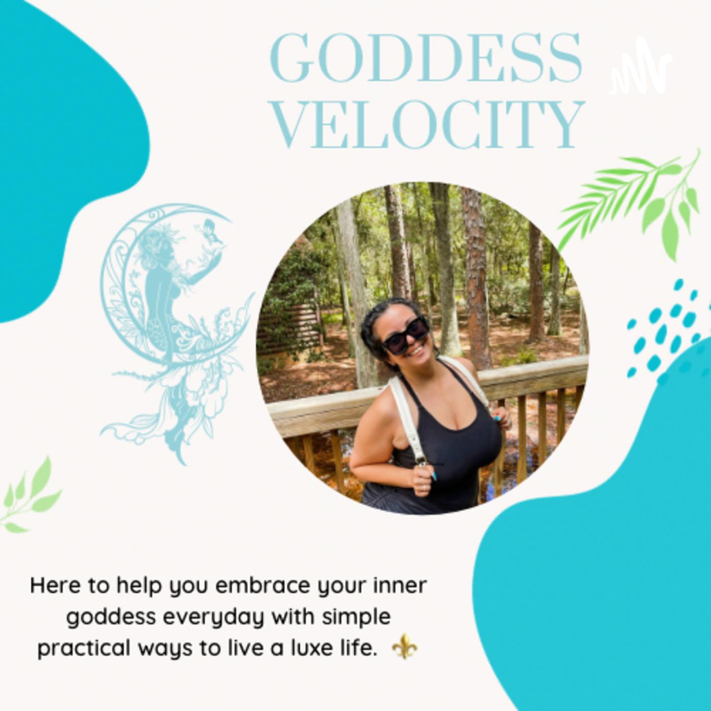 The GV Collective 