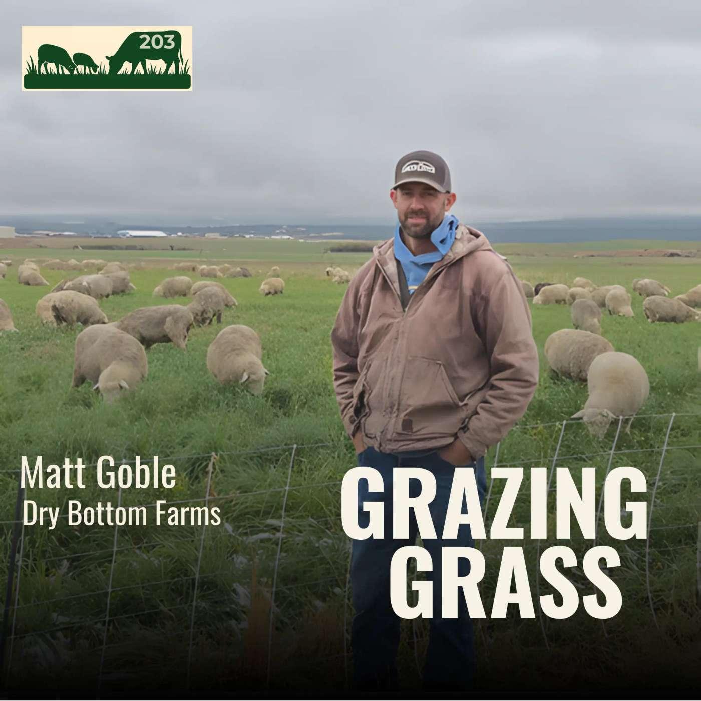 Grazing Grass Podcast sharing Regenerative Ag Stories