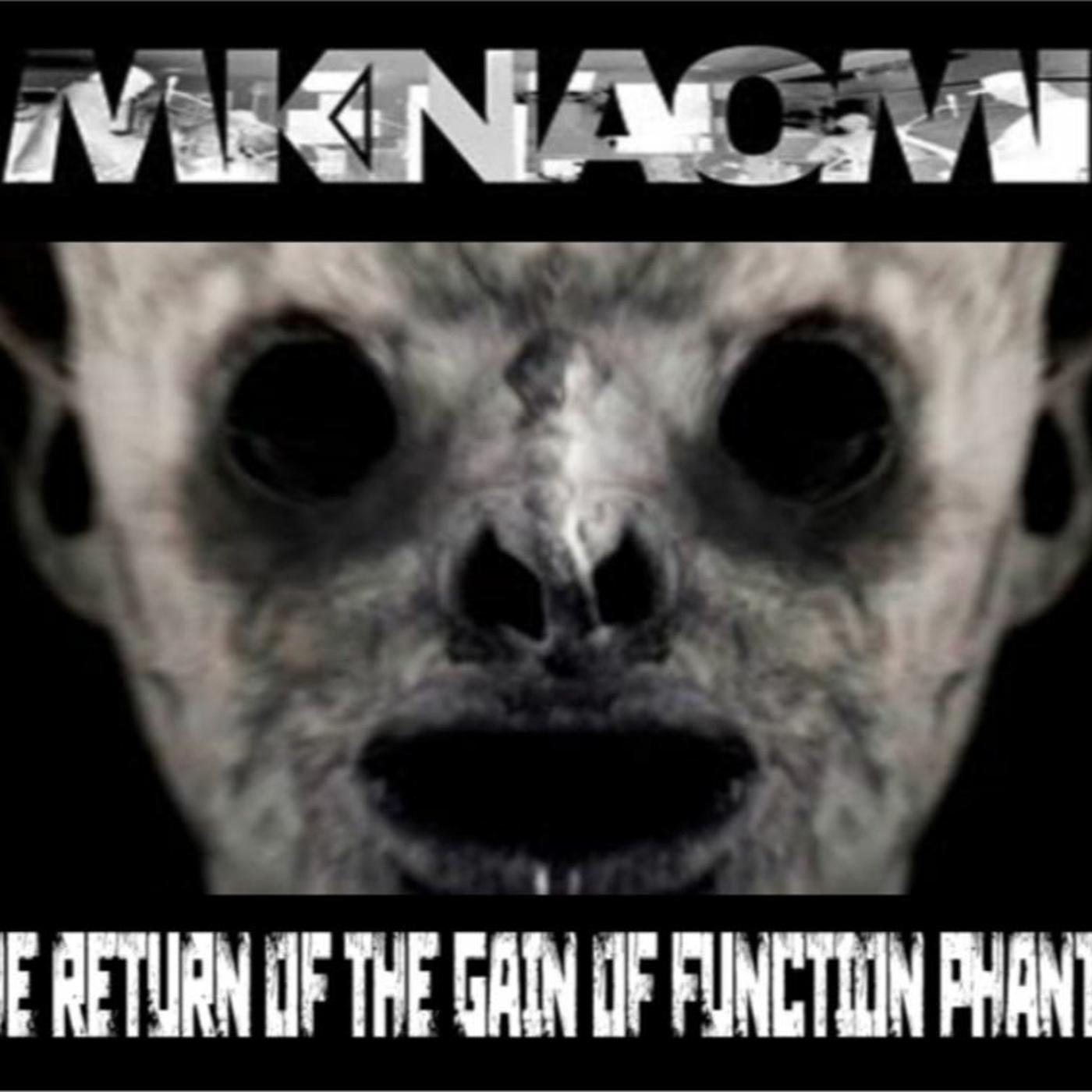 Show sample for 5/12/21: MK NAOMI – THE RETURN OF THE GAIN