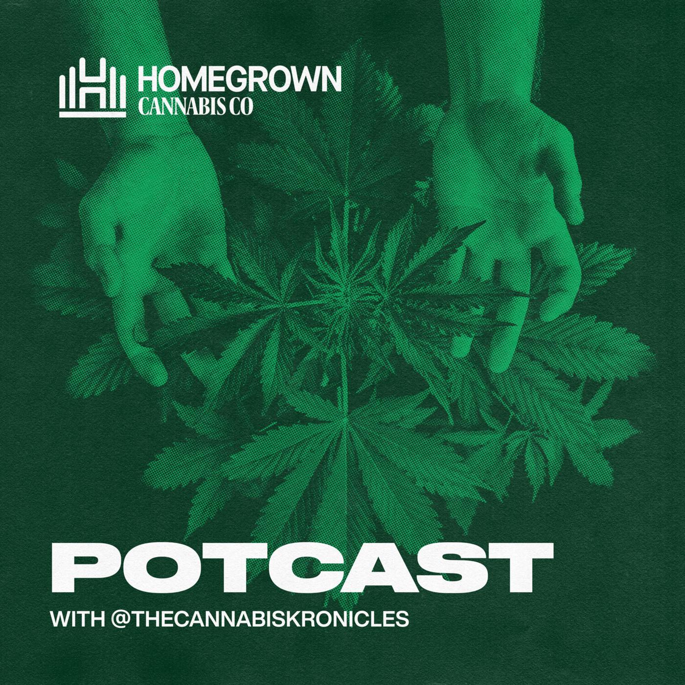 Space Buckets, Closets, Or Tents? Best Options For Quick Cannabis Grow