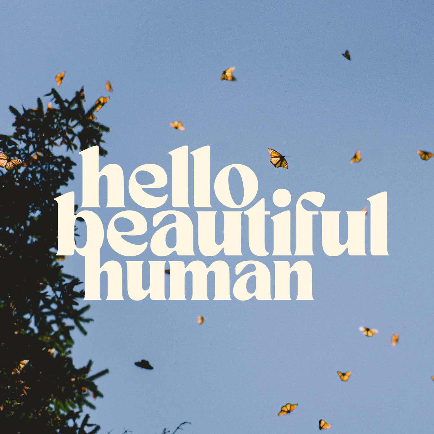 The Coldest Winter Night (in Chicago) - Hello Beautiful Human (podcast ...