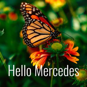 Hello Mercedes (podcast) - Mercedes Fernandez | Listen Notes