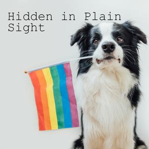 Hidden in Plain Sight