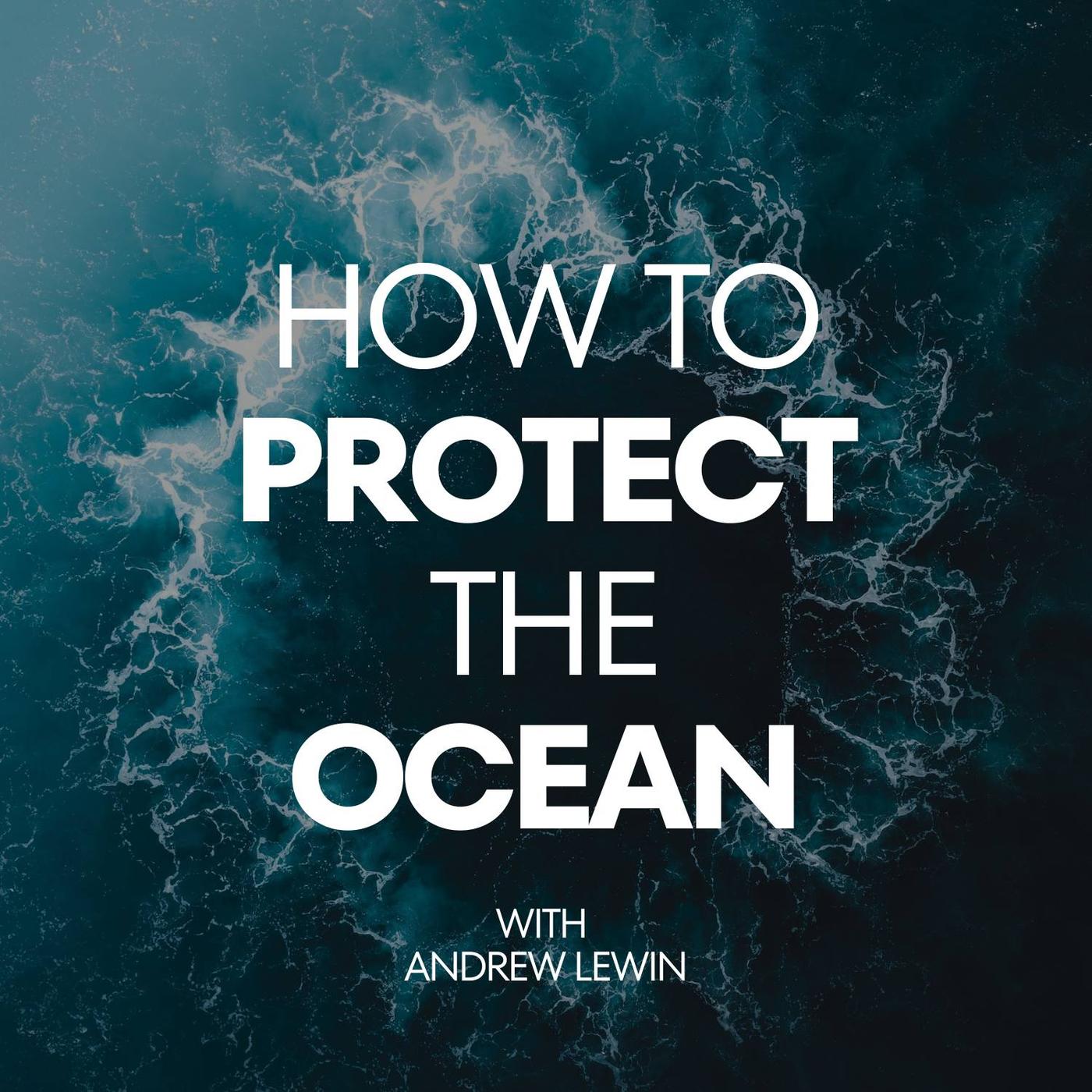 How To Protect The Ocean