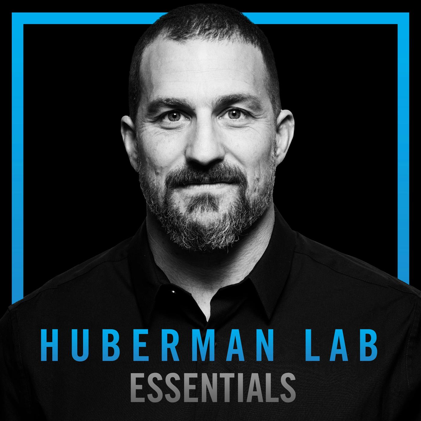 Huberman Lab