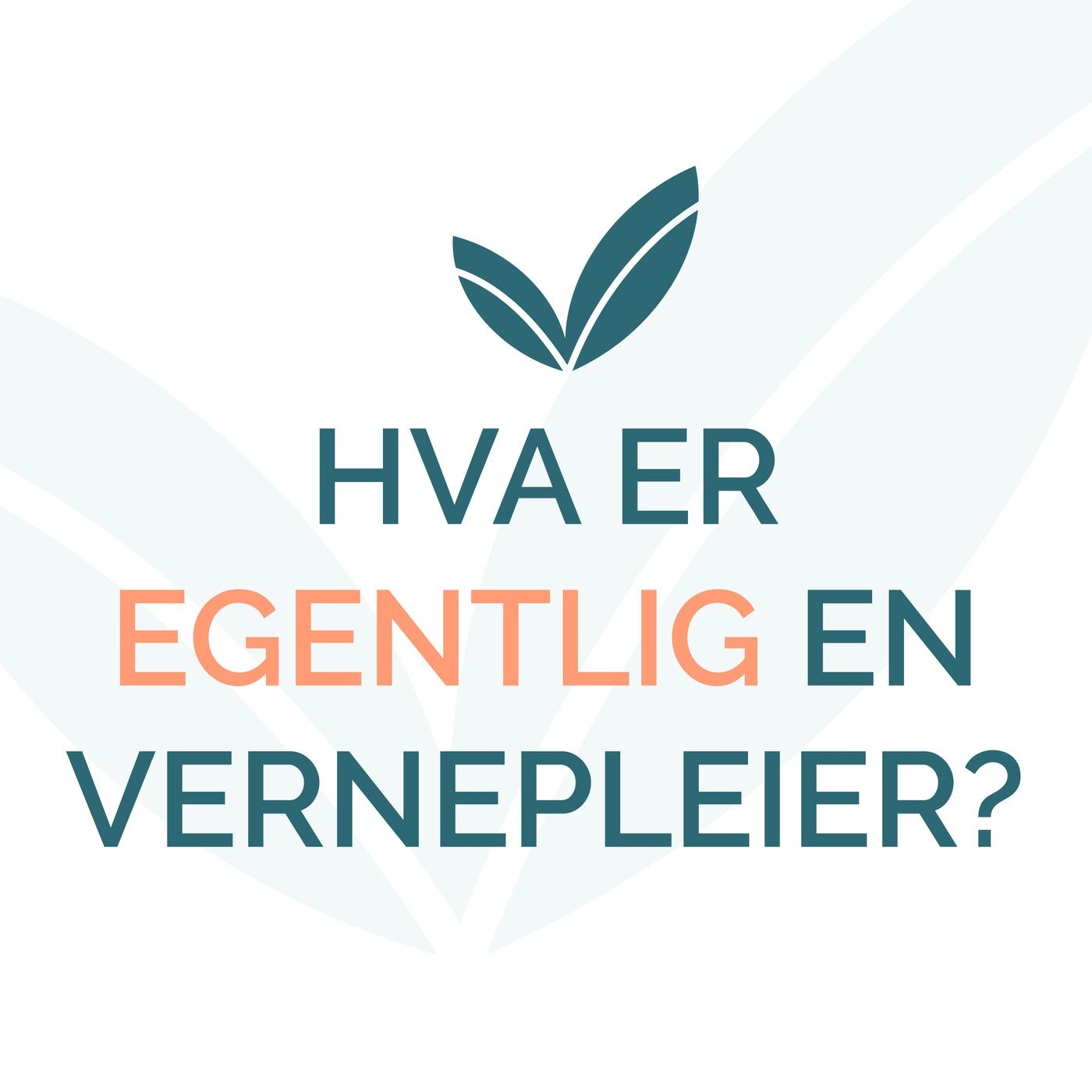 Vernepleieren I Skole - Med Linda Håøy - Hva Er EGENTLIG En VERNEPLEIER ...