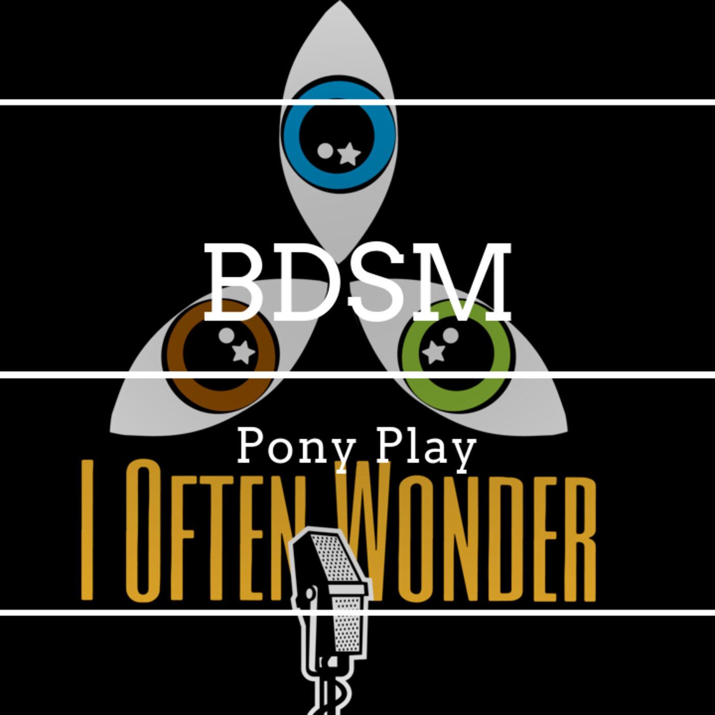 BDSM: Pony Play - I OFTEN WONDER? (podcast) | Listen Notes