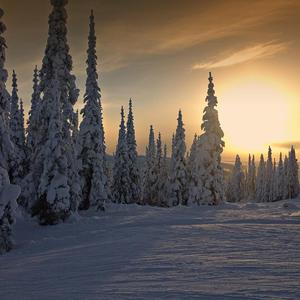 First Snow