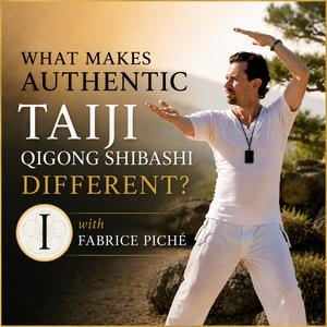 What Makes Authentic Taiji Qigong Shibashi Different? | Fabrice Piché