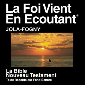 Jola-Fogny Bible