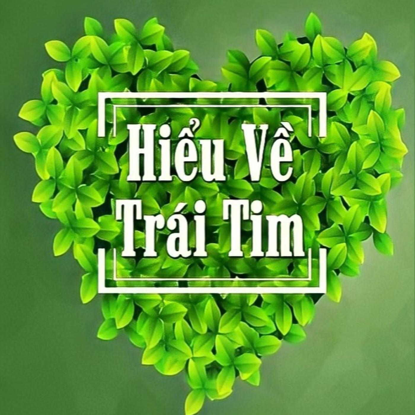 Đọc Hiểu Văn Bản 