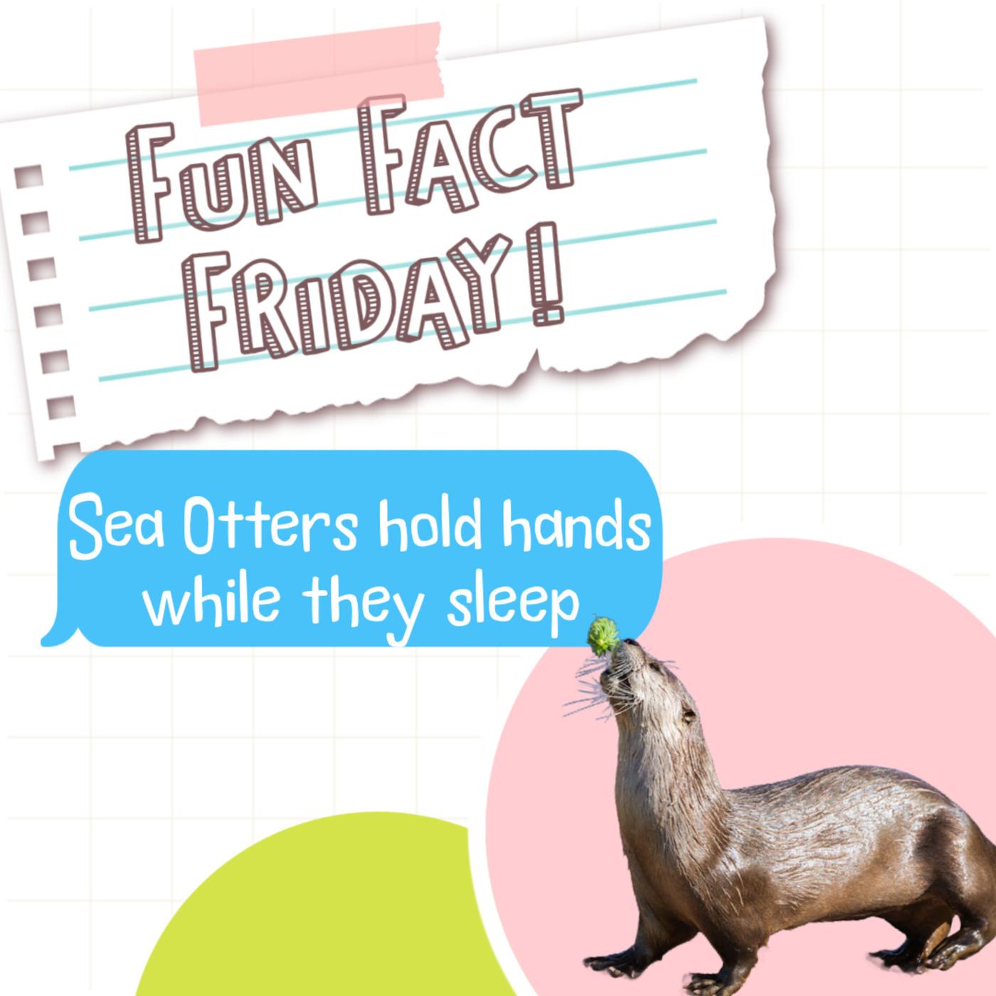 Fun Fact Friday: The Tallest Mountain in the Solar System is on Mars